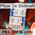 Pfizer De Sildénafil kamagra1